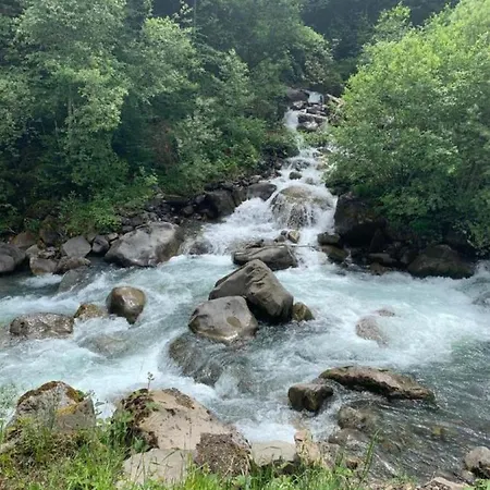 Daire ,